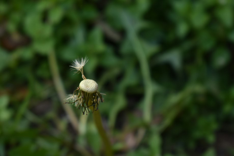 2017-03-11 23.28.04.jpg