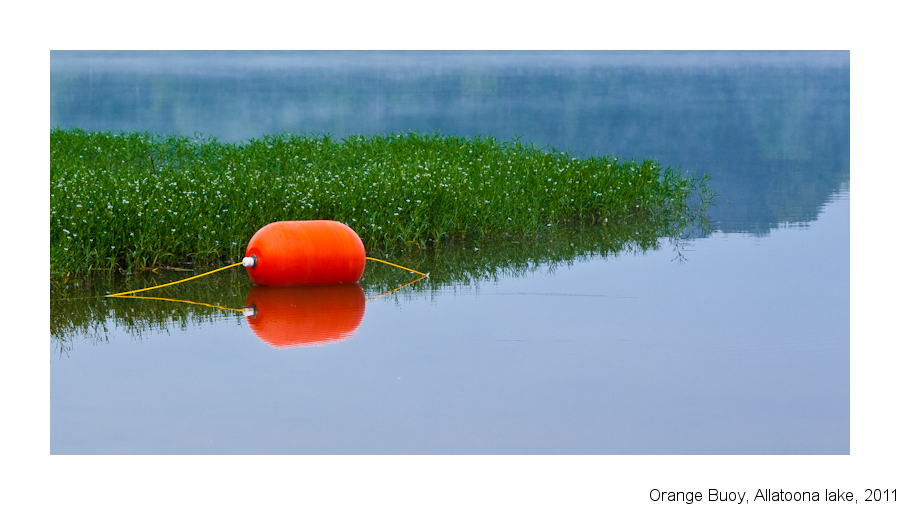OrangeBuoy-1.jpg