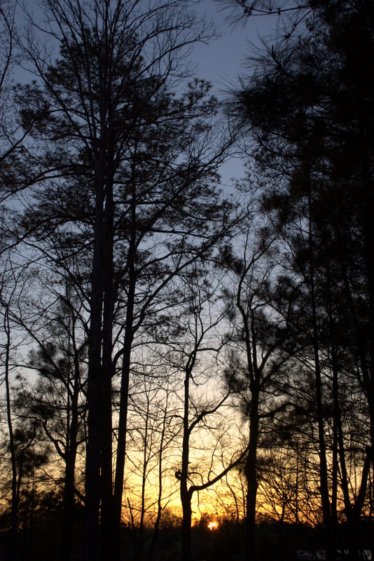 안녕~~.jpg : 산책..