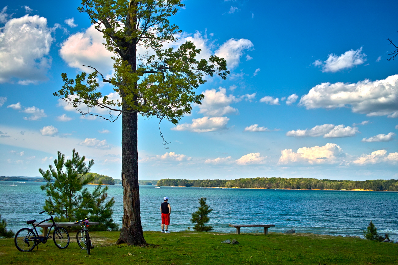 Resized_SDIM3285.jpg : 사람, 나무 그리고 바다