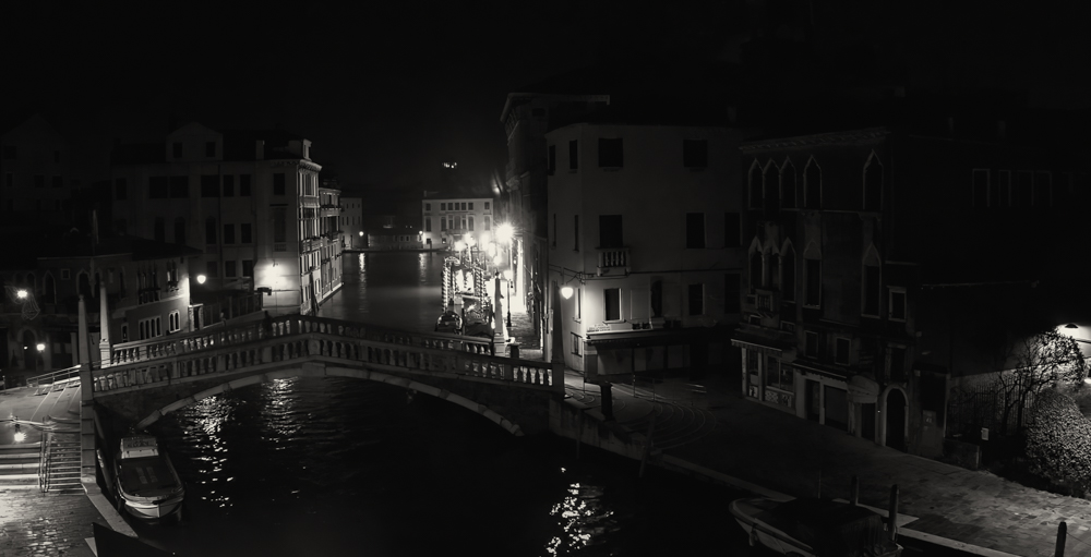 VENICE-gig.jpg