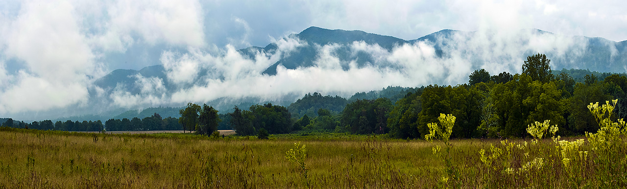 Cades Cove Panorama1 copy.jpg