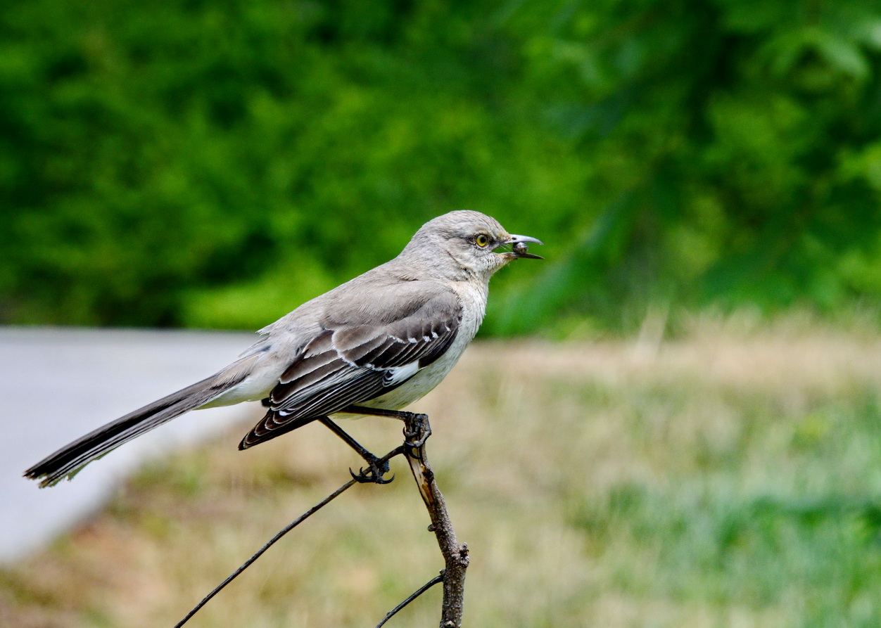 DSC_0953tcr.jpg : 사람들은 왜 콘크리트 위를 걸어다니지?