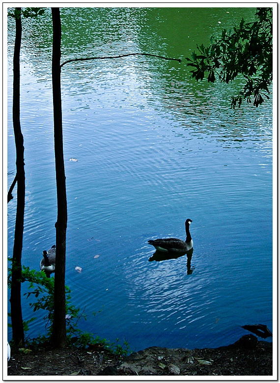 BeautifulMayatDogwoodFestival (1 of 1)-2.jpg