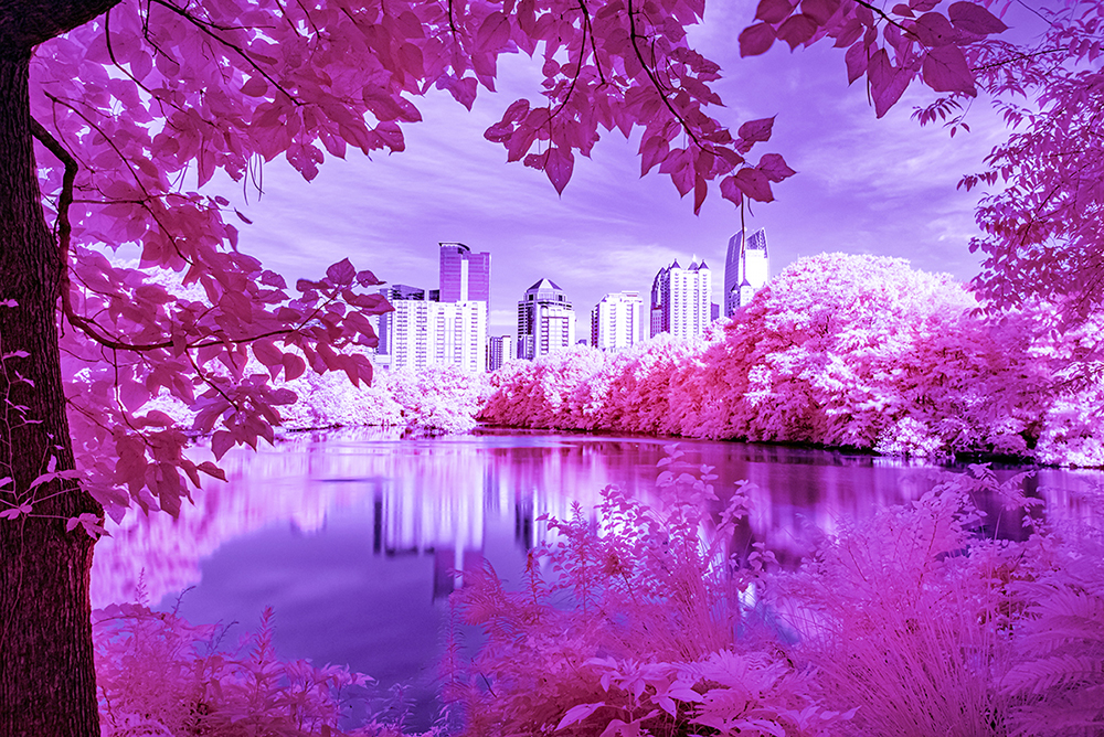 _DSC8011 copya copy.jpg