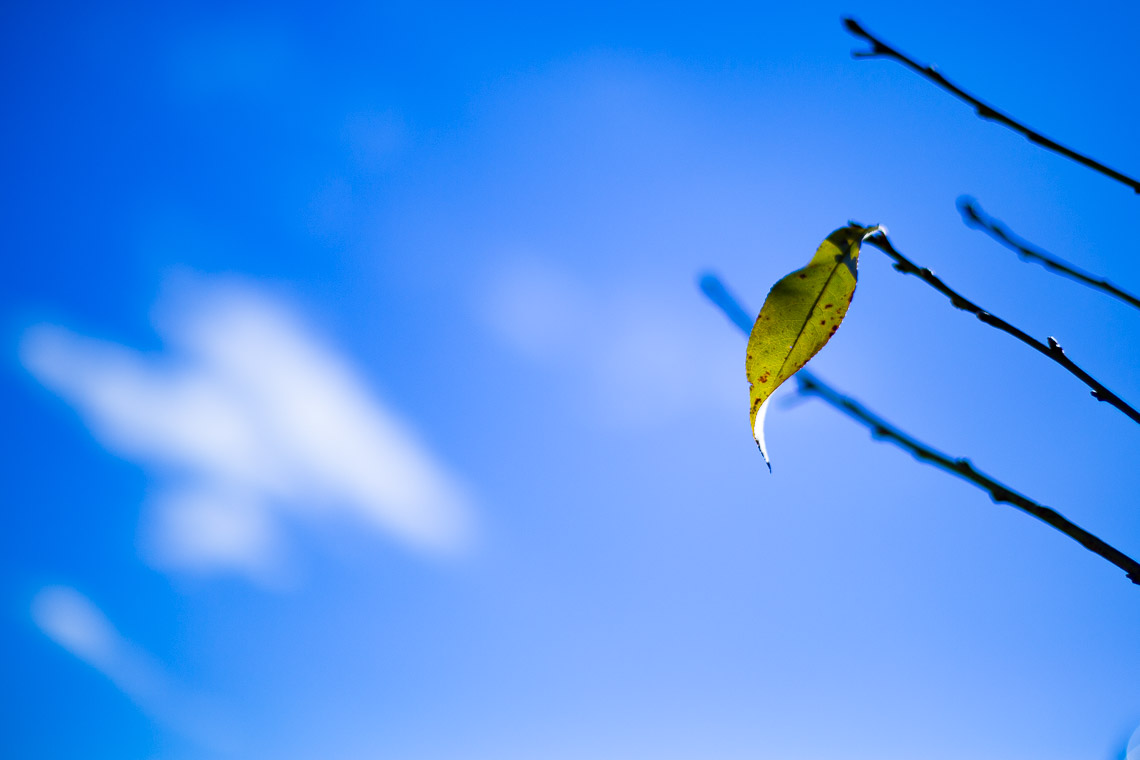 #49 오전 1.00.12.jpg