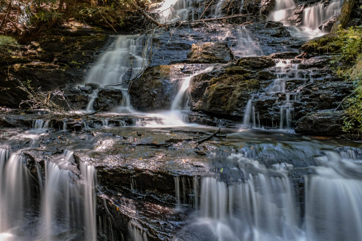 monocrom - vogel park 2.JPG