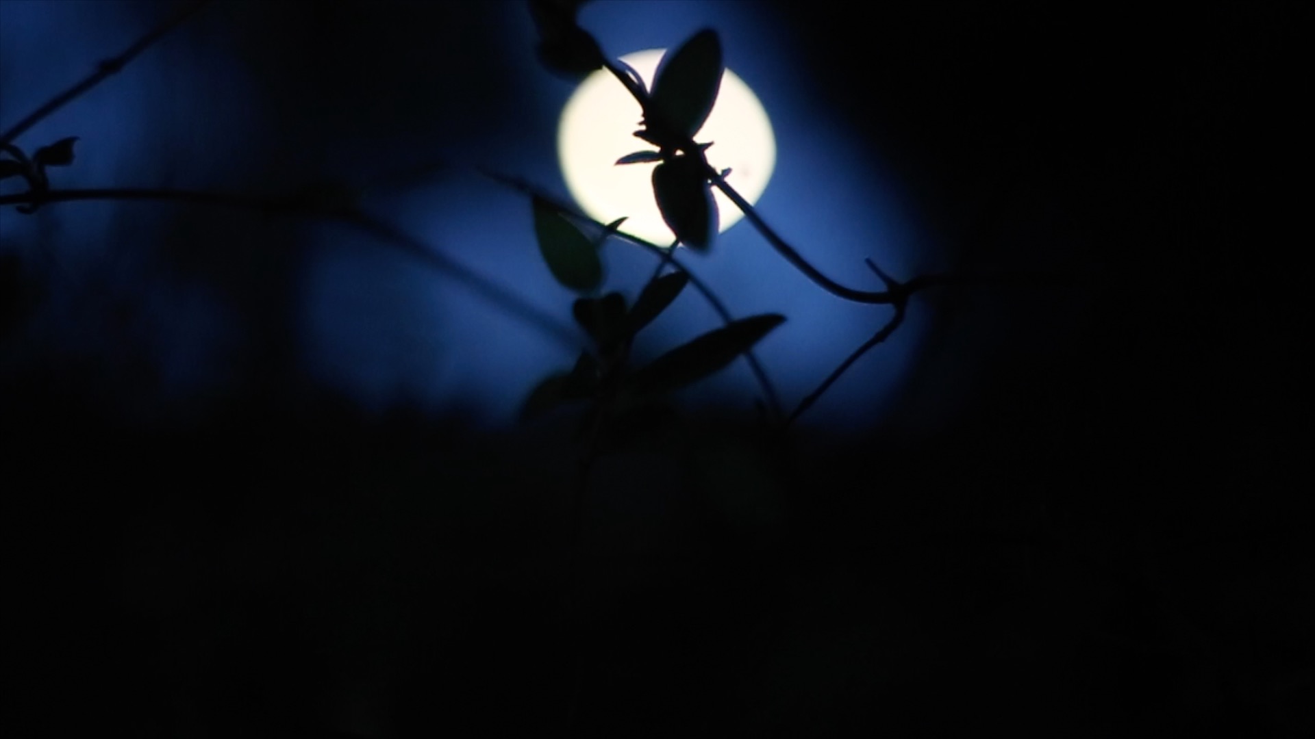 Untitled Project 3.jpg