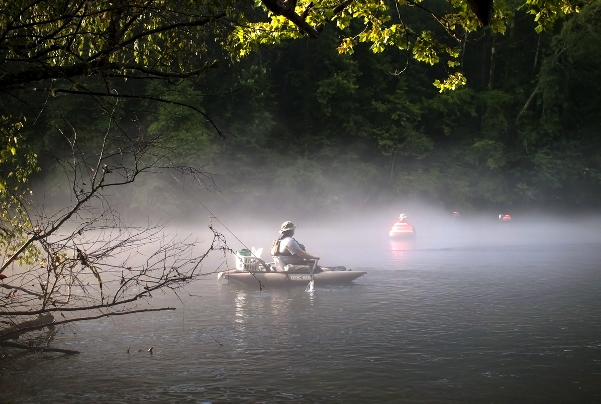 marching to fish.jpg