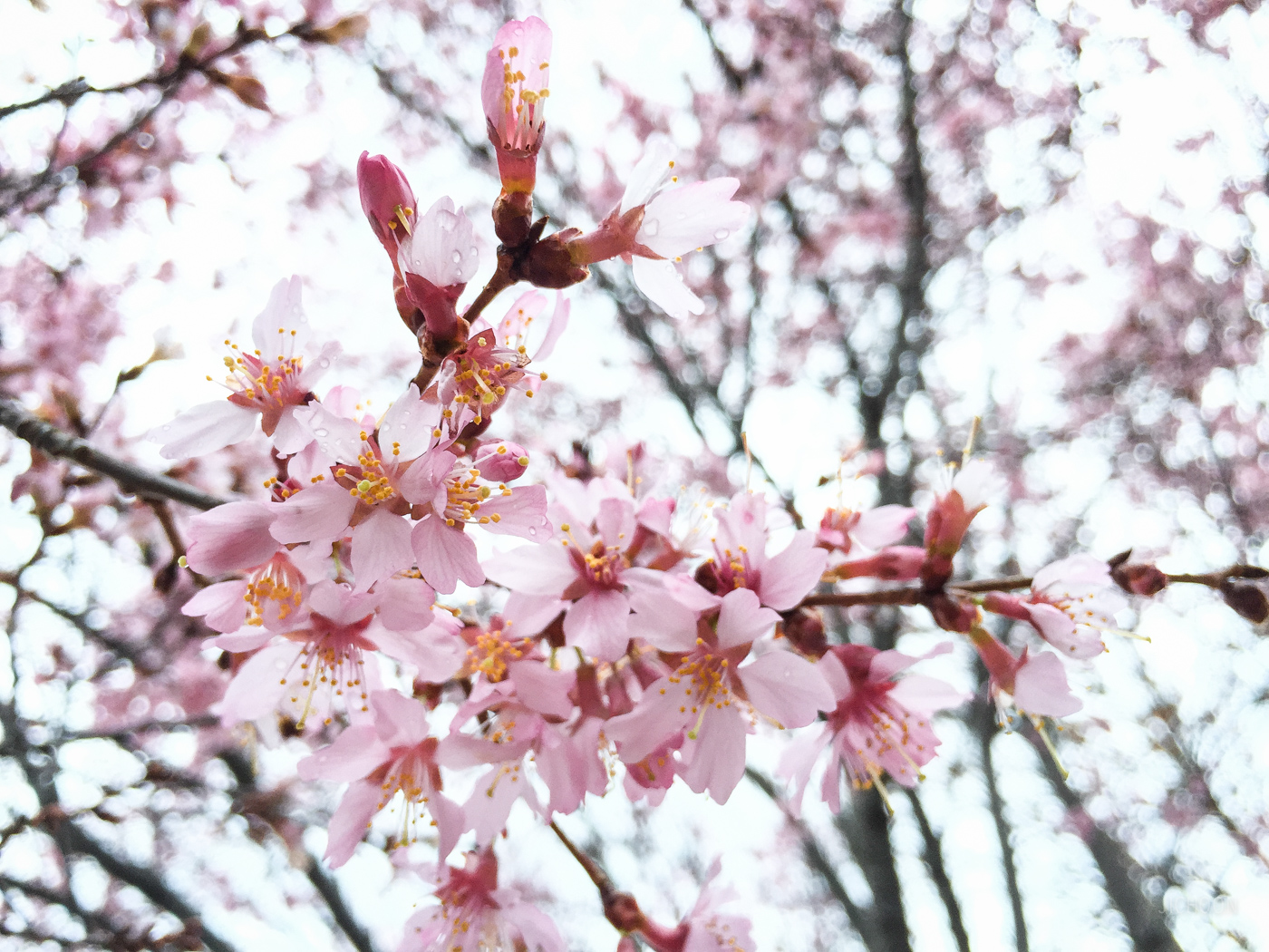 2015-03-10 08.42.15.jpg