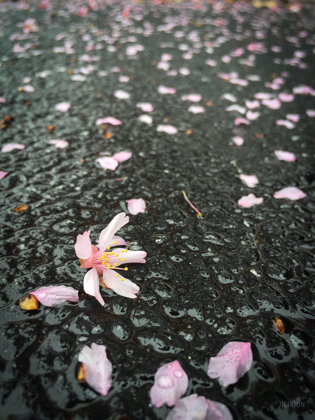 2015-03-13 13.34.59.jpg