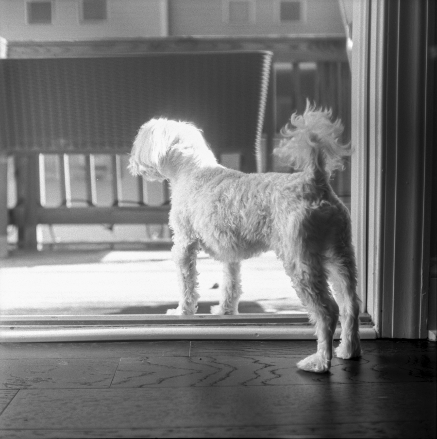 예쁜이 말로 .jpg