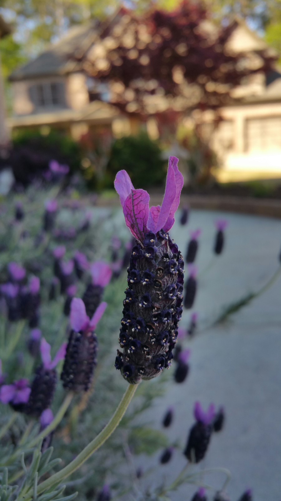 2016-10-16 23.25.02.jpg