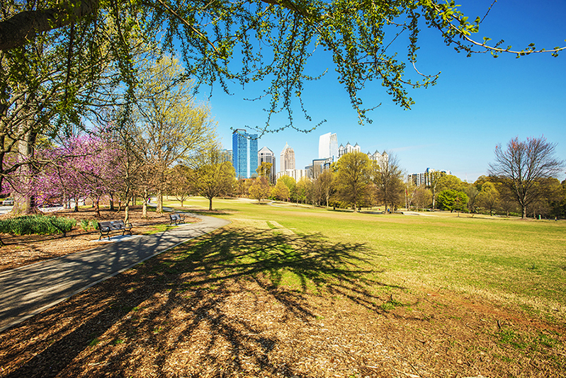 3-31-15 piedmont p._3190.JPG