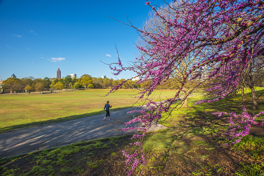 3-31-15 piedmont p._3073.JPG