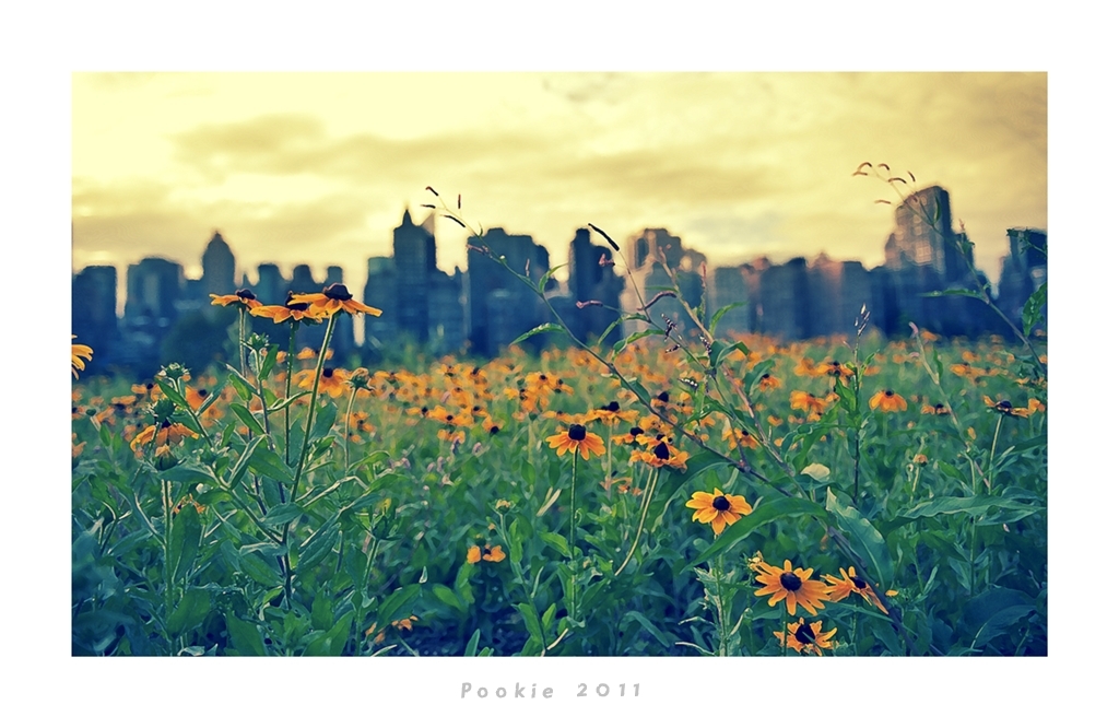 20110905_9467 copy.jpg