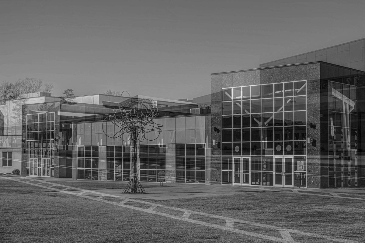 monocrom - linear 1.JPG