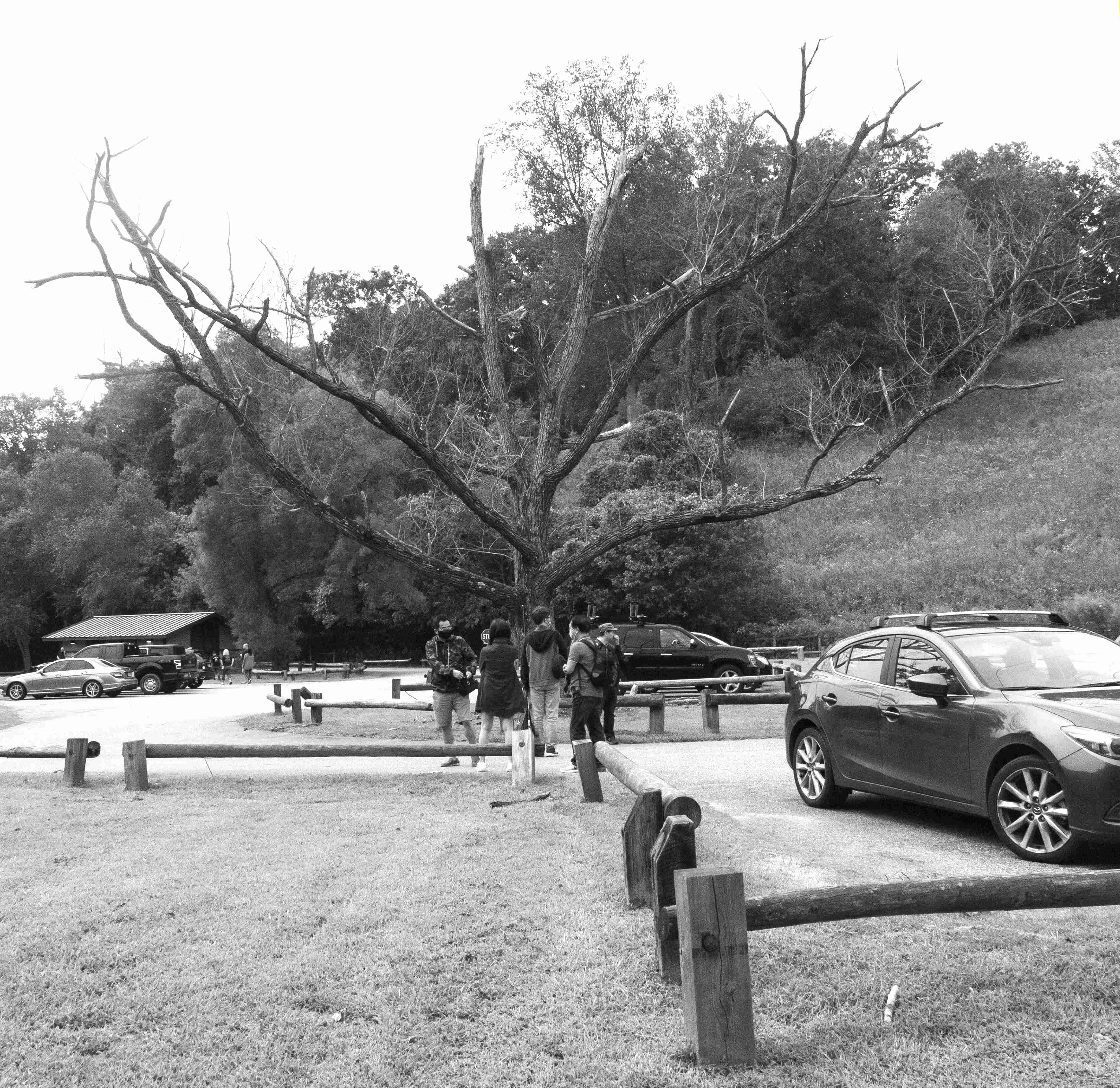 DSC08706a(2) - Copy.jpg