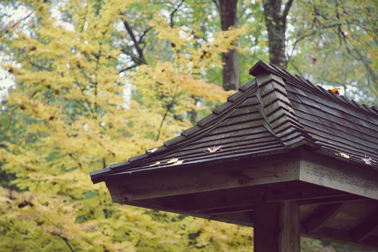 KakaoTalk_Photo_2021-11-02-19-06-48 003.jpeg