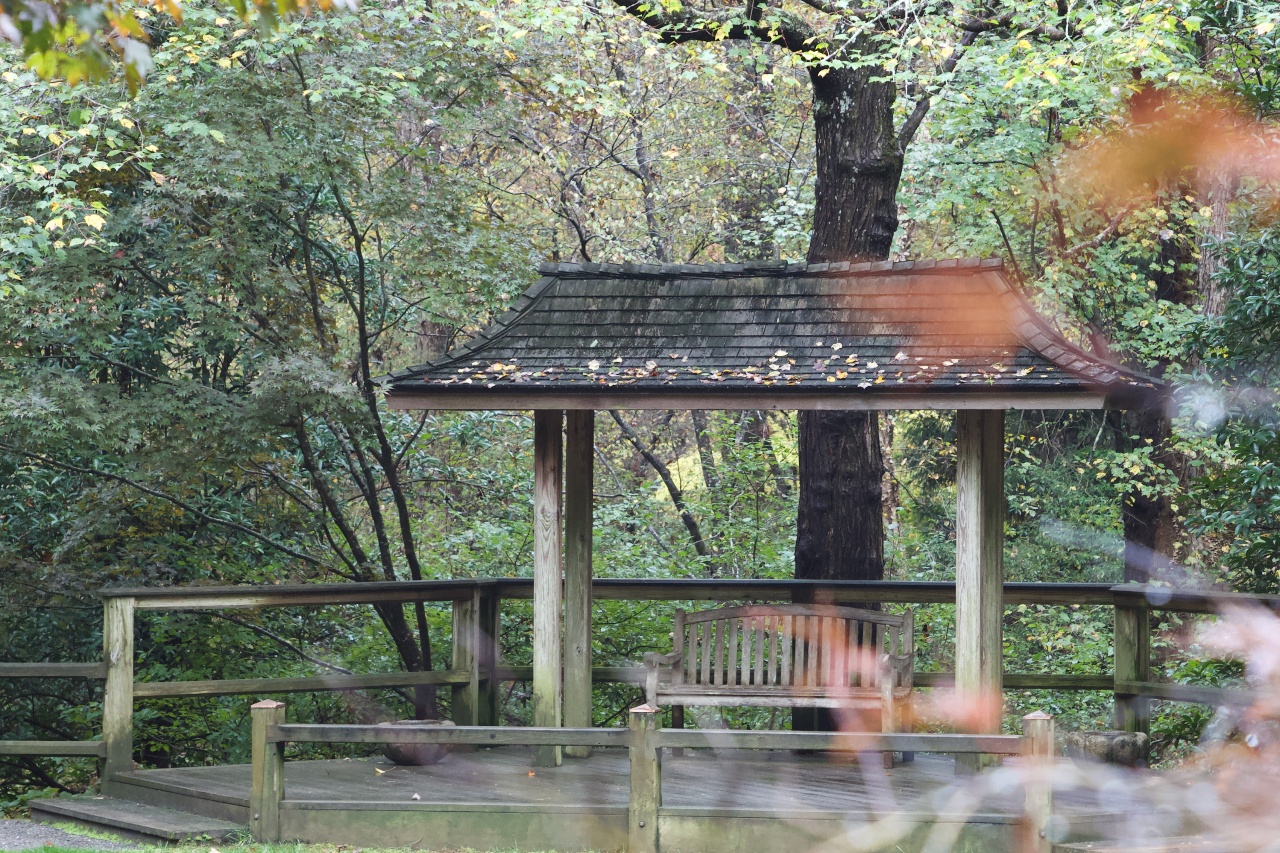 KakaoTalk_Photo_2021-11-02-19-06-45 001.jpeg