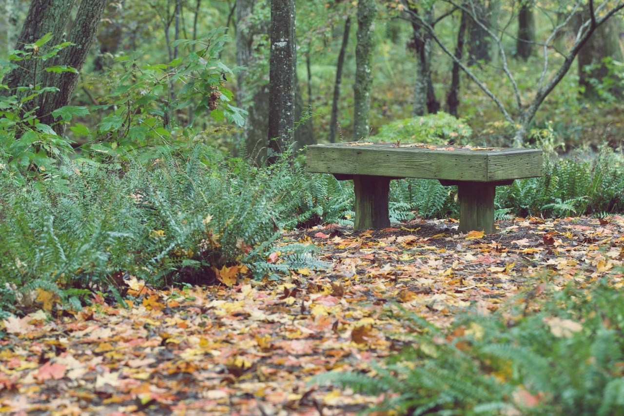 KakaoTalk_Photo_2021-11-02-19-06-50 004.jpeg