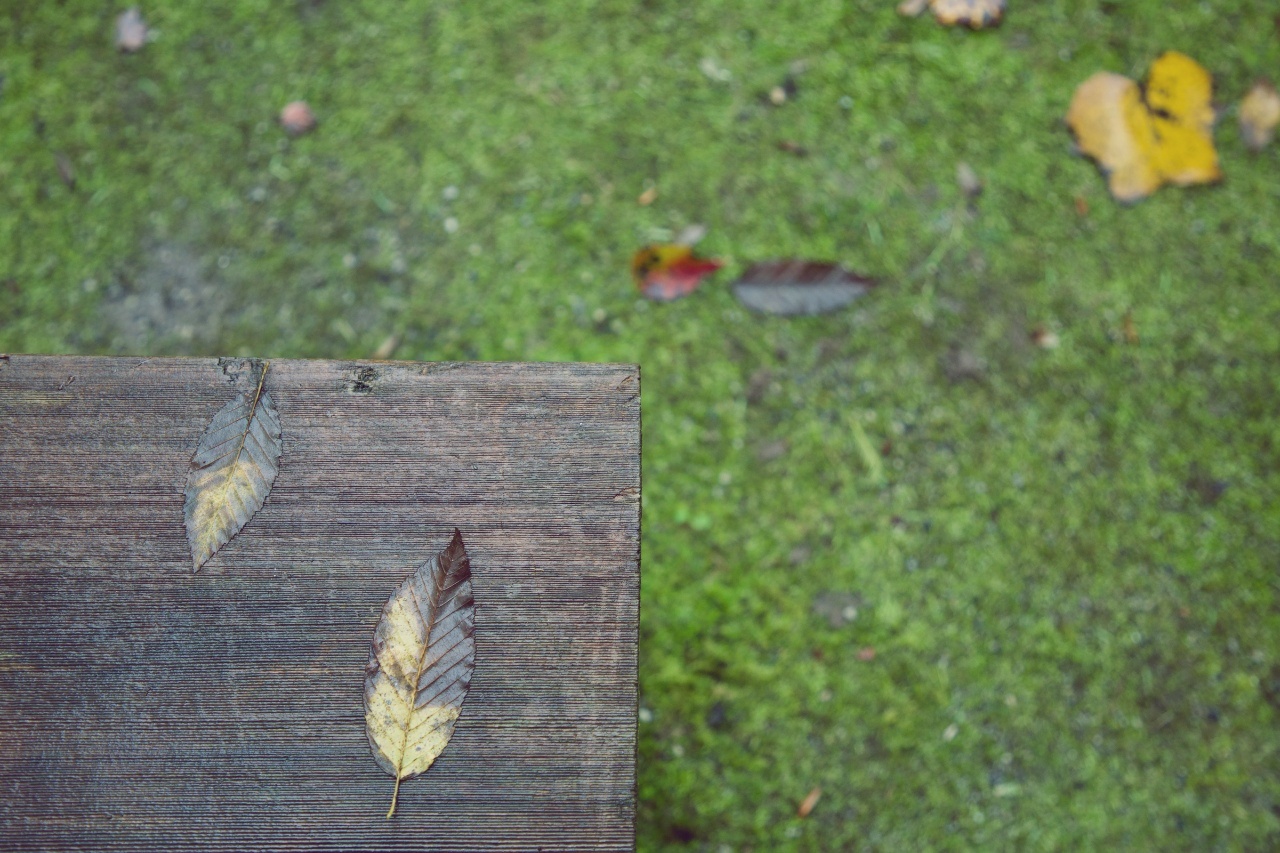 KakaoTalk_Photo_2021-11-02-19-06-47 002.jpeg