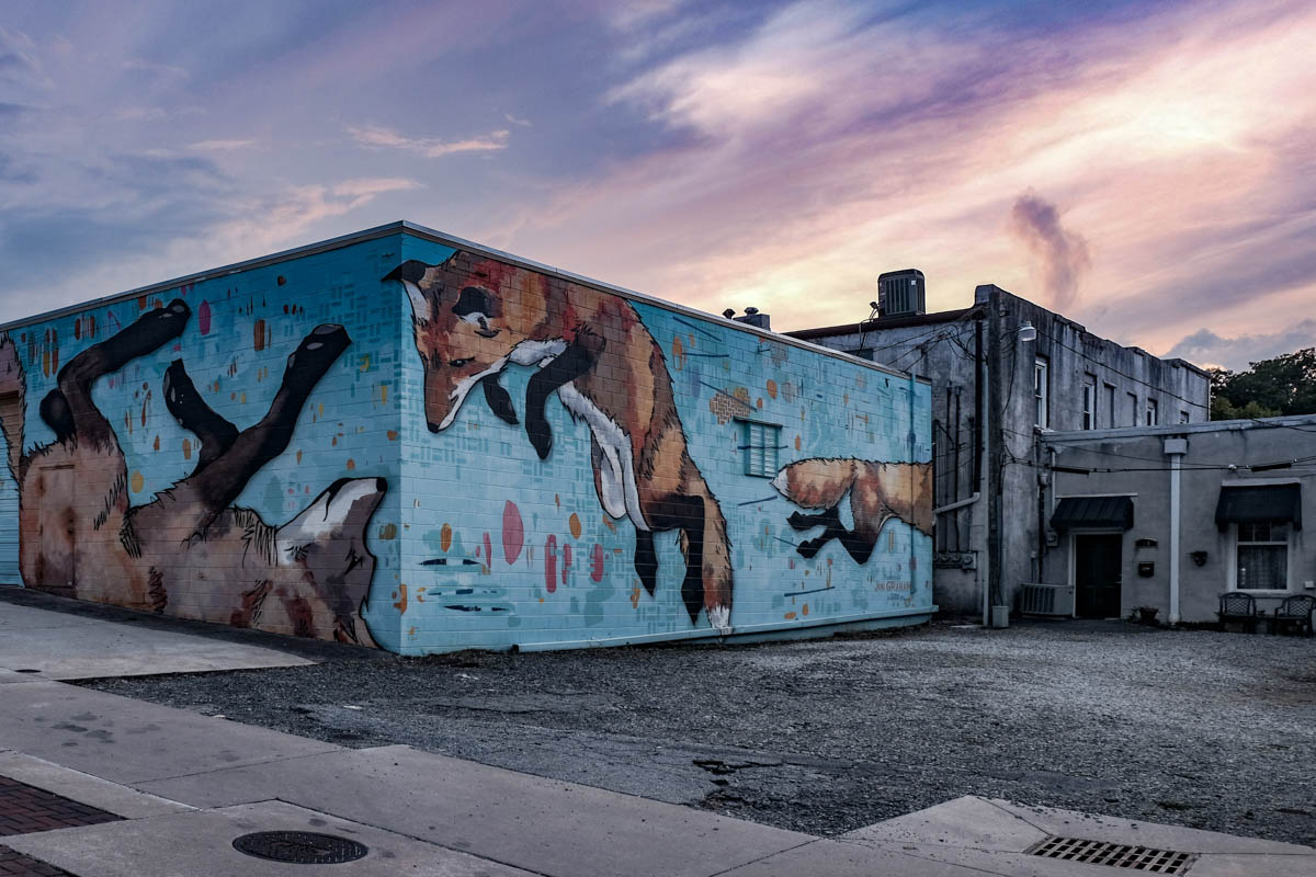 monocrom - fox run.JPG