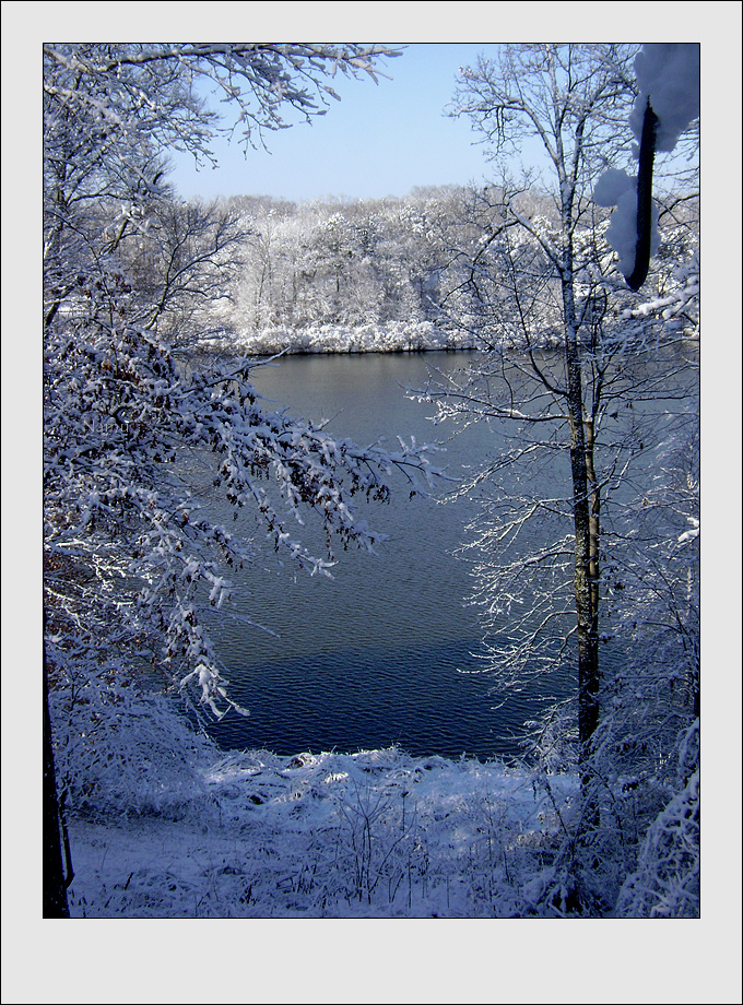 downloadedFeb2010 822.jpg