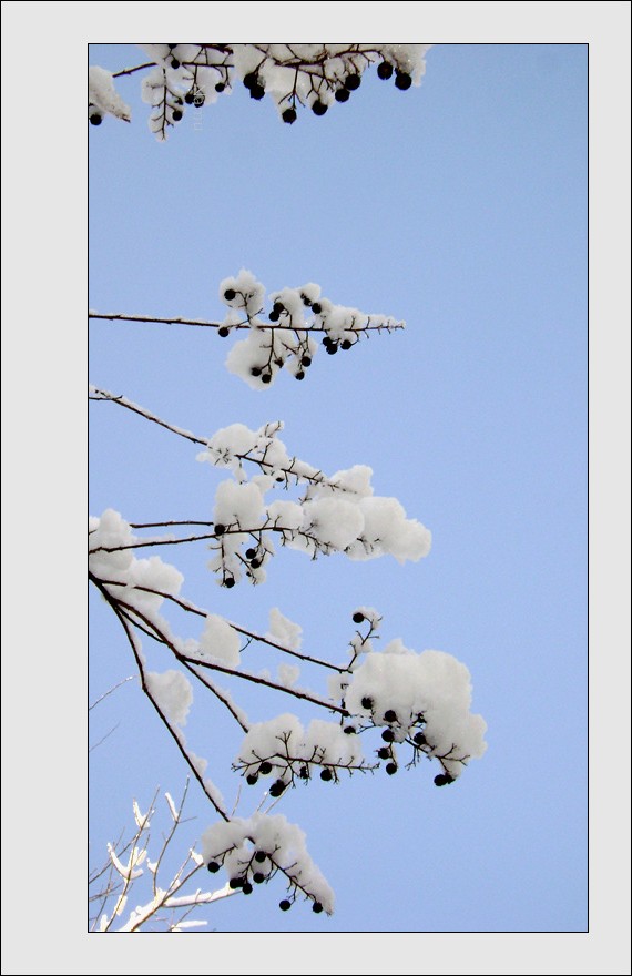 downloadedFeb2010 809.jpg