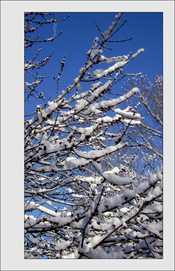 downloadedFeb2010 813.jpg