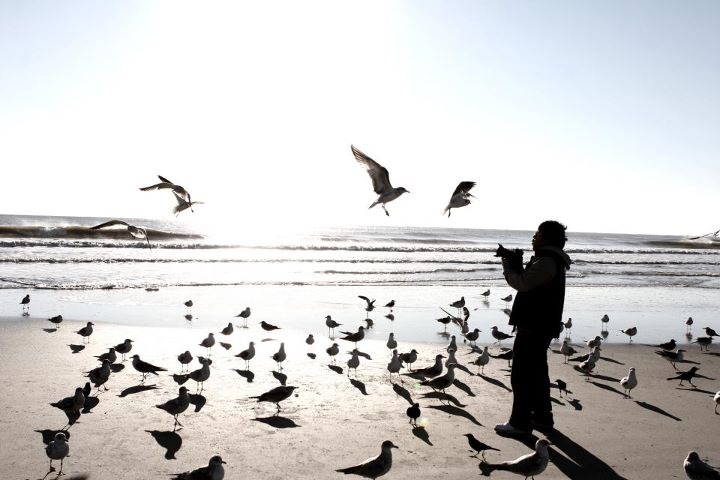 사진.JPG : 겨울바다 갈매기 그리고...