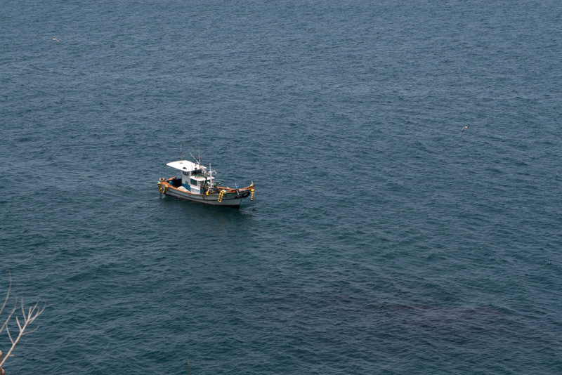 여행사진5.jpg : 유유자적