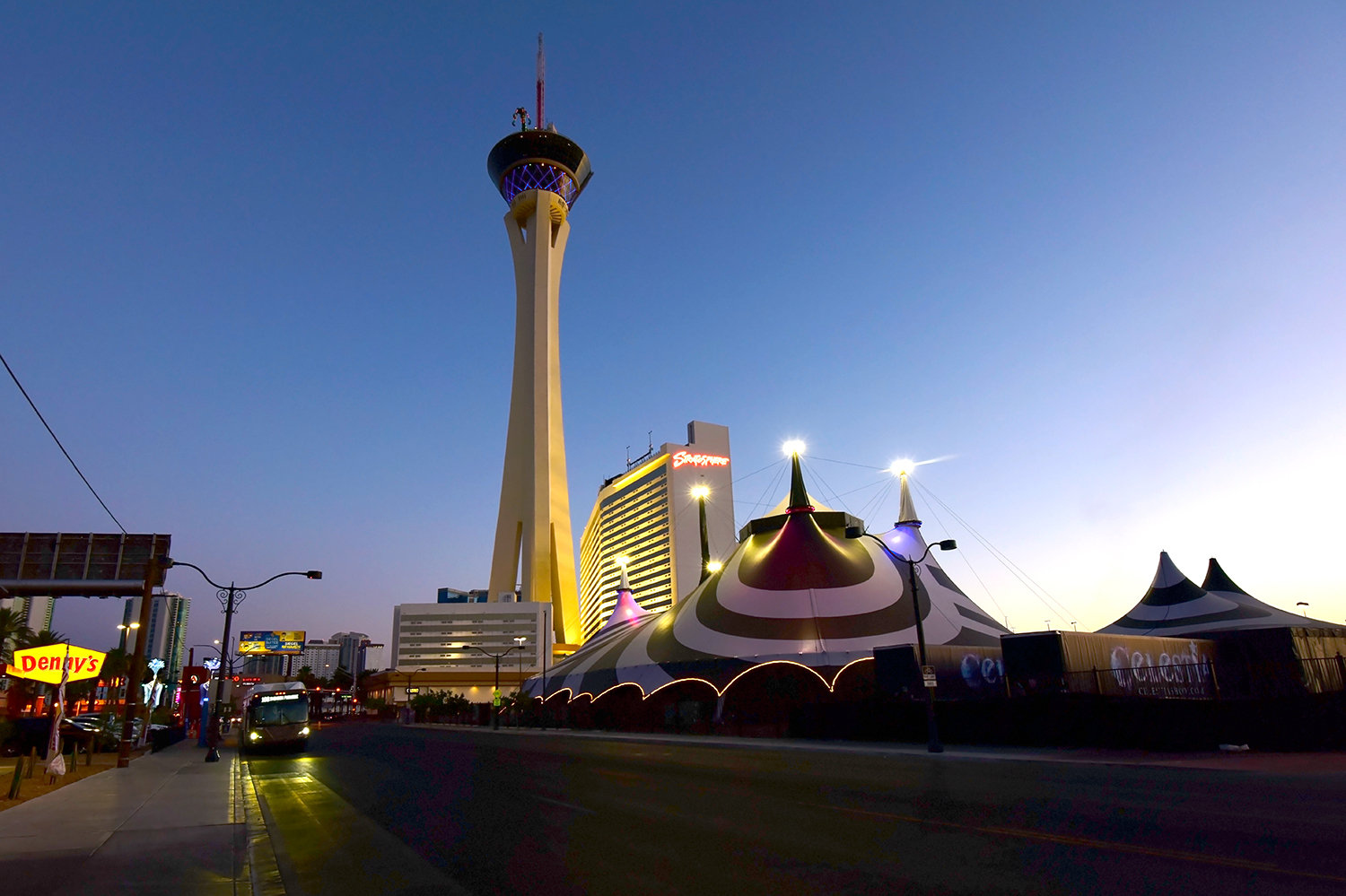 DSC_8676 PS Crop 1500px.jpg