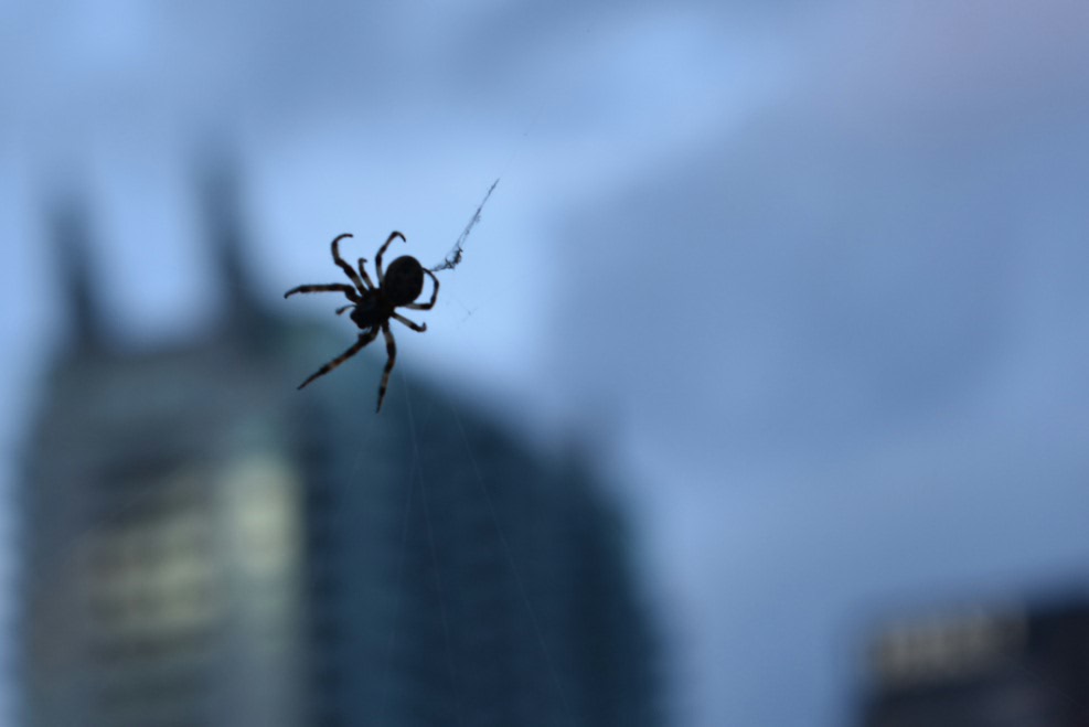 2017-06-25 00.11.17.jpg