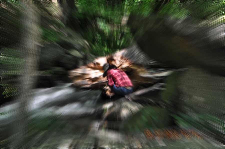 DSC_0037ZOOM.JPG : 카메라를 돌려봤더니만