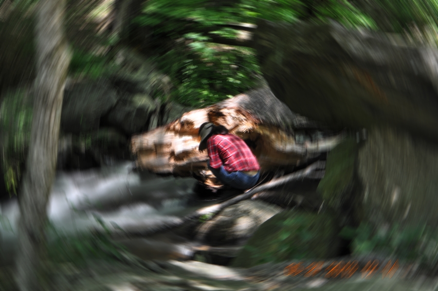 DSC_0037RAD BLUR.JPG : 카메라를 돌려봤더니만