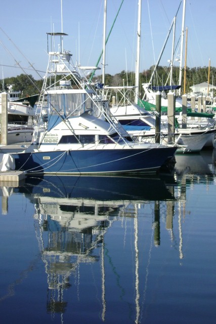 a 266 - Copy (427x640).jpg