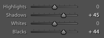 Screen Shot 2016-07-30 at 2.02.22 AM.png