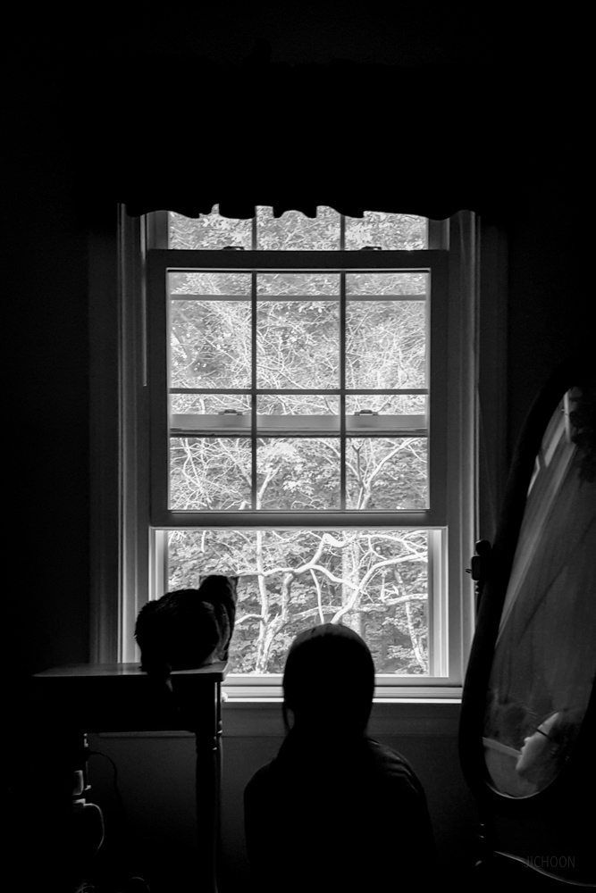 2016-05-02 07.39.07.jpg