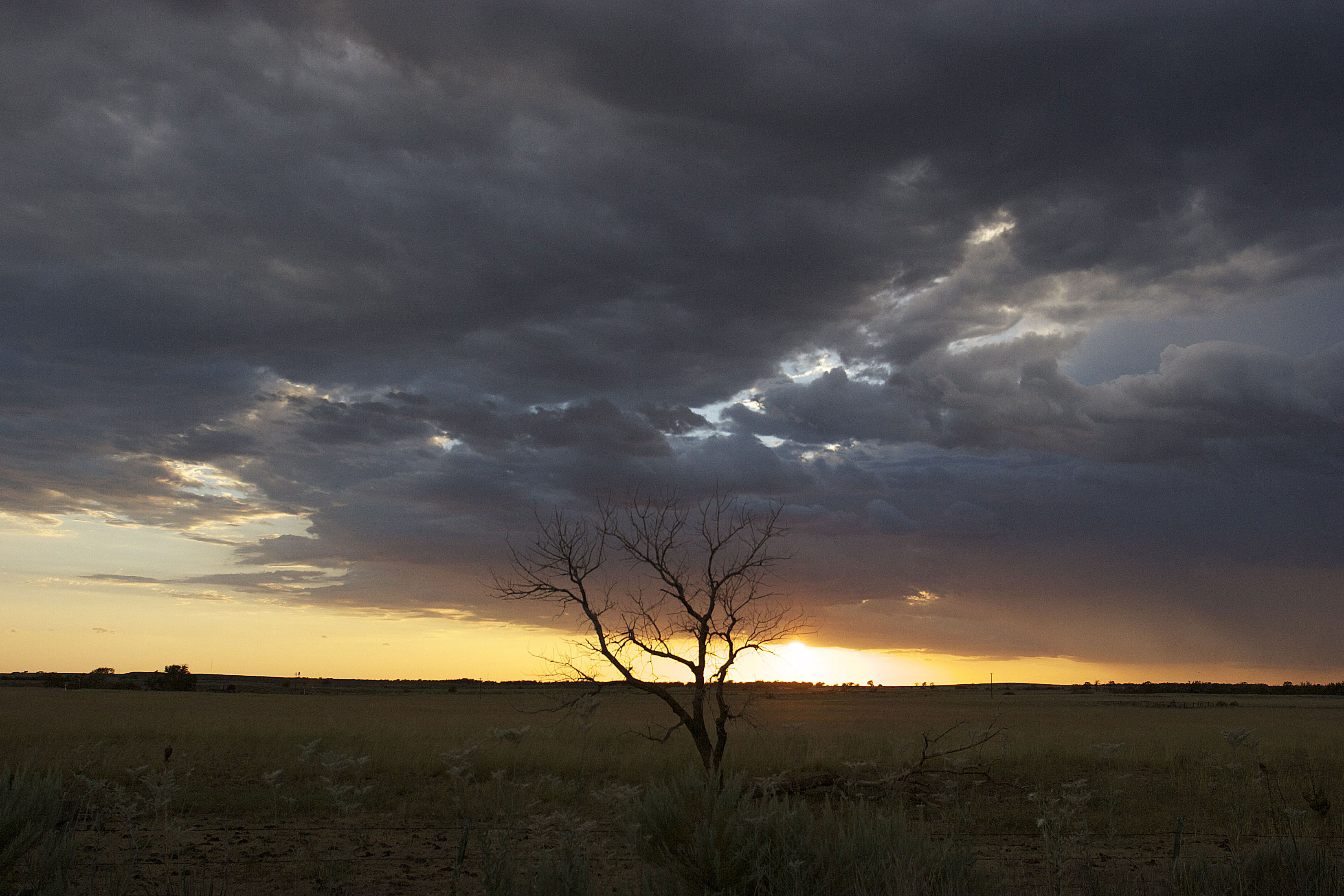 _MG_4158.jpg : Sunset