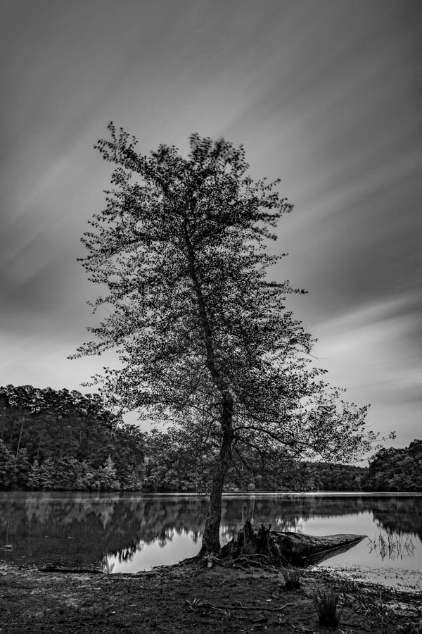 monocrom - alone.JPG