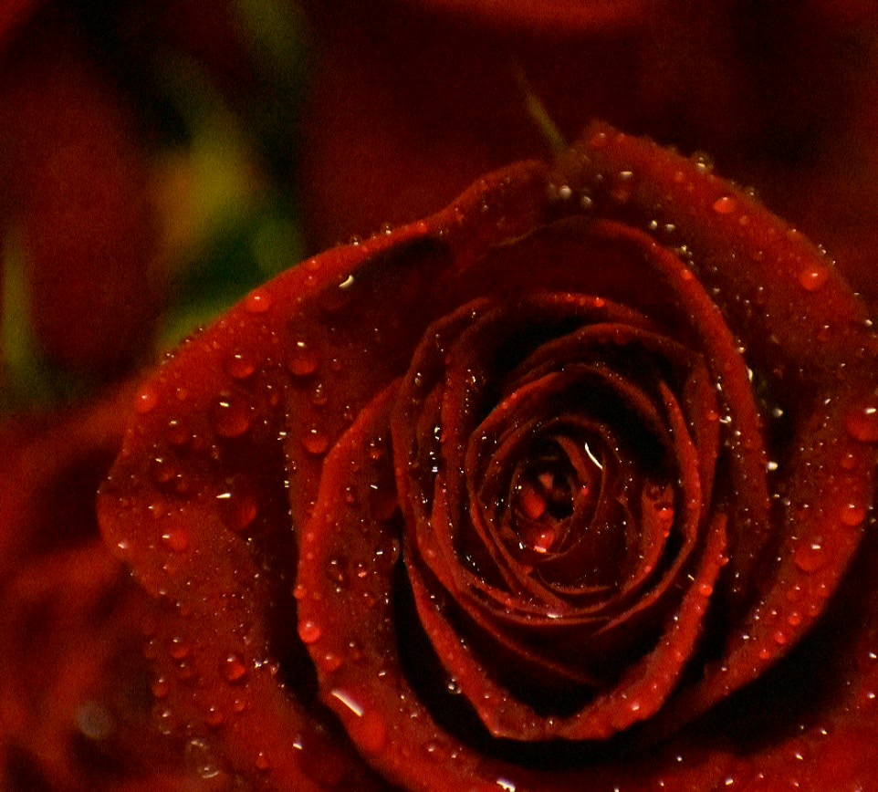 2017-03-24 00.11.11.jpg