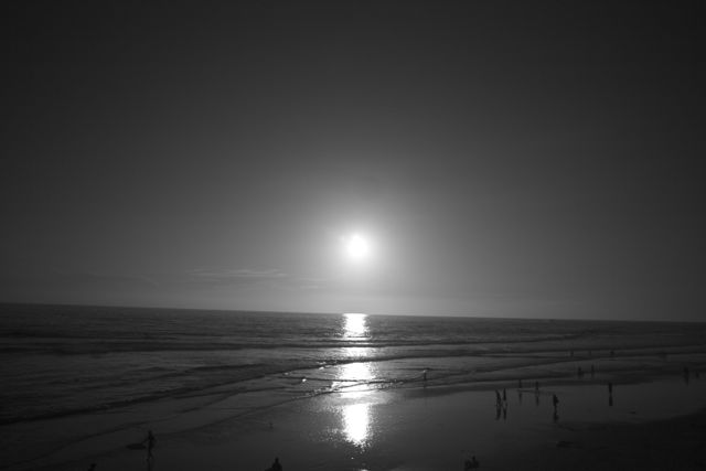 _MG_4331.jpg : Oceanside Beach