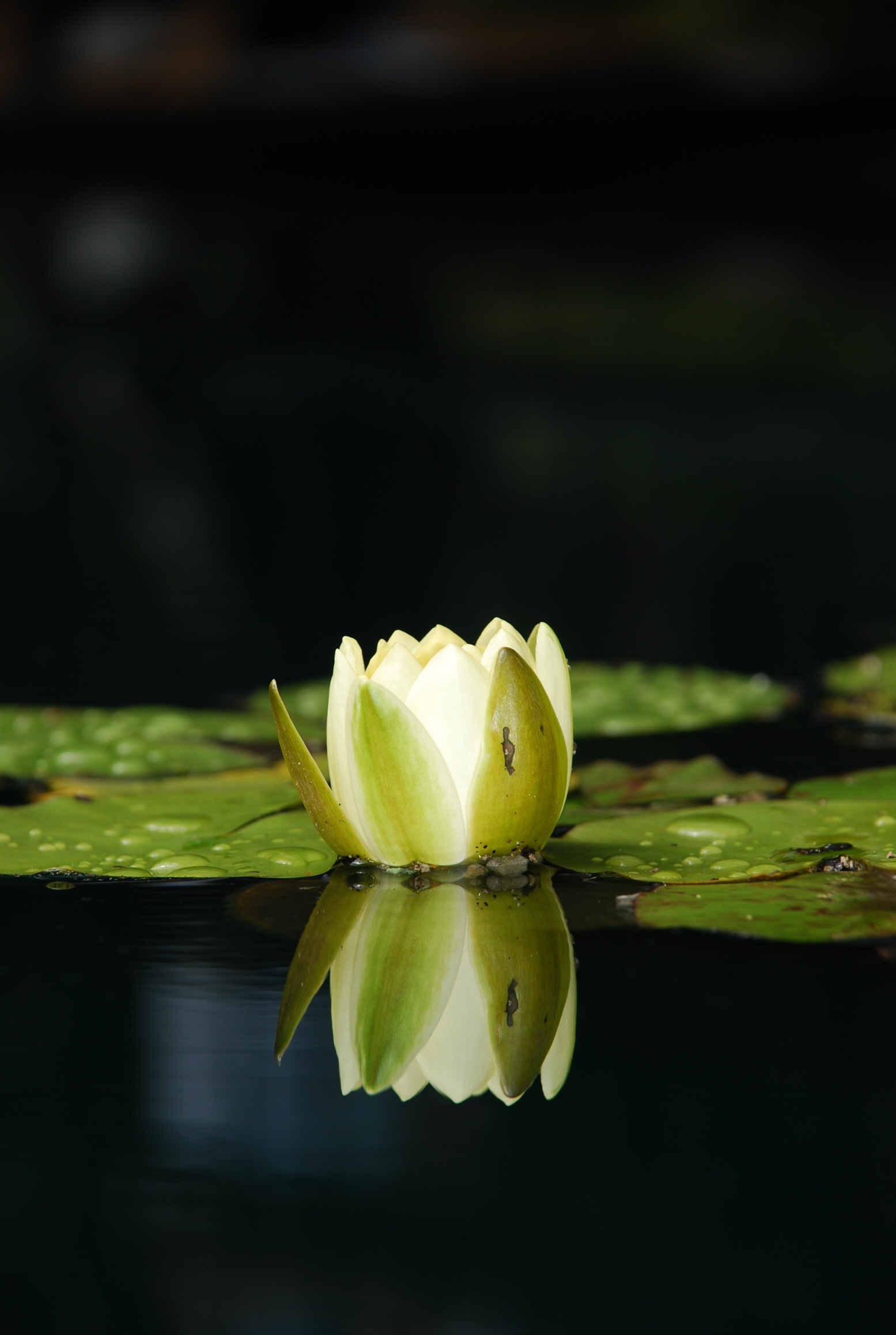 꾸미기_DSC_0539.JPG : 평가 부탁드립니다