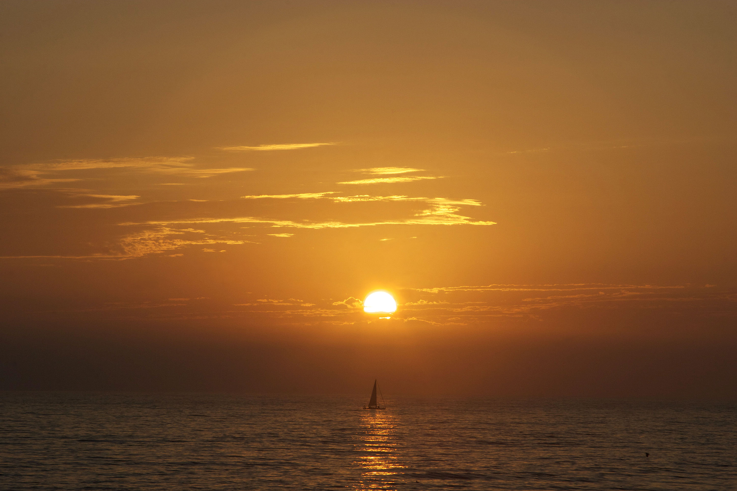 Oceanside beach copy.jpg : Sunset