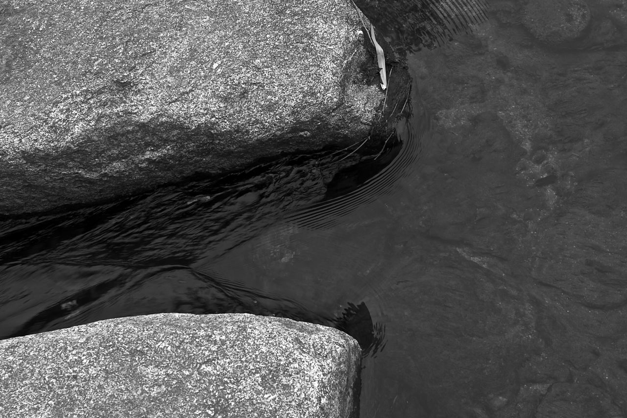 _MG_3977.jpg : 무제