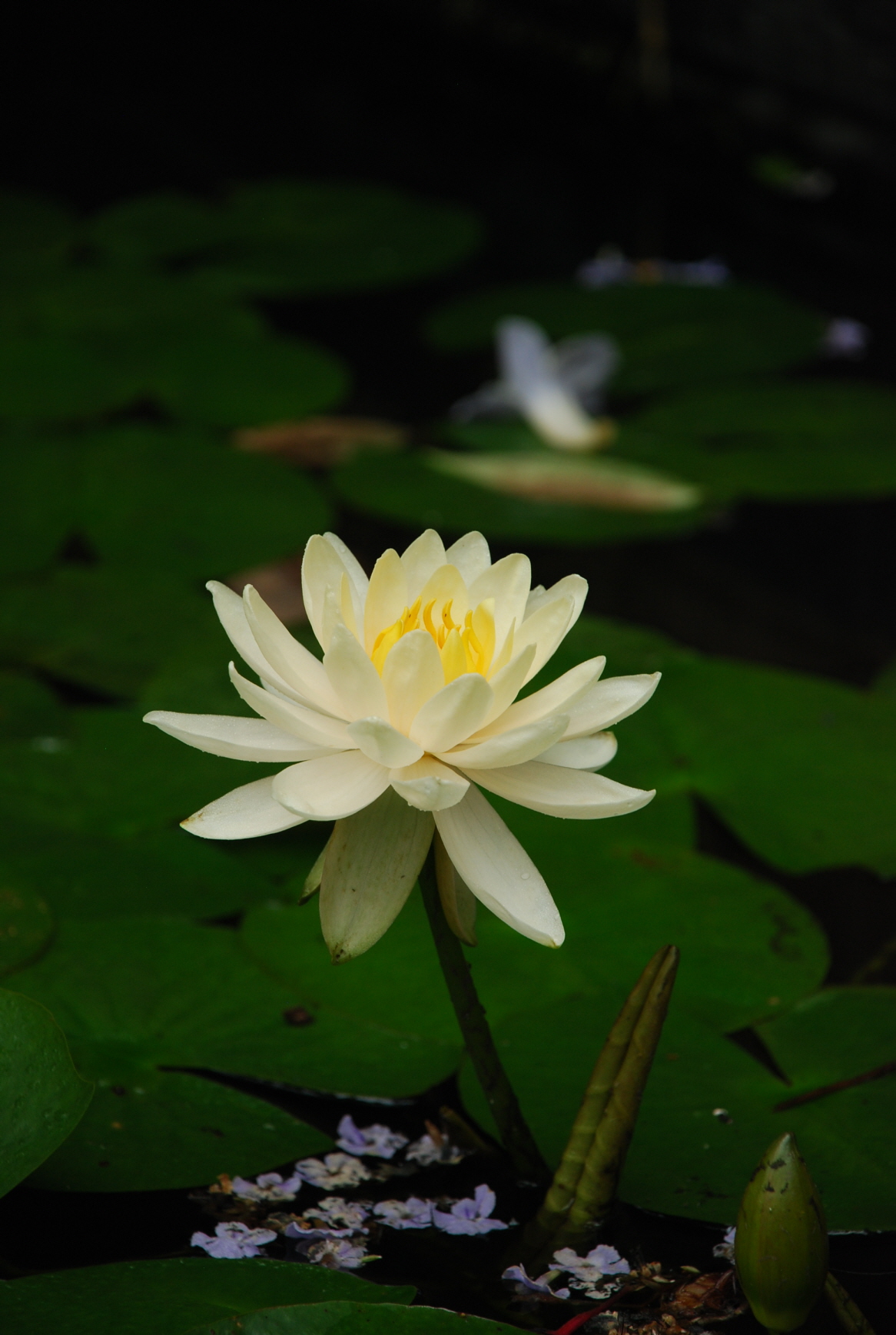 꾸미기_DSC_0524.JPG : 배우고자 합니다