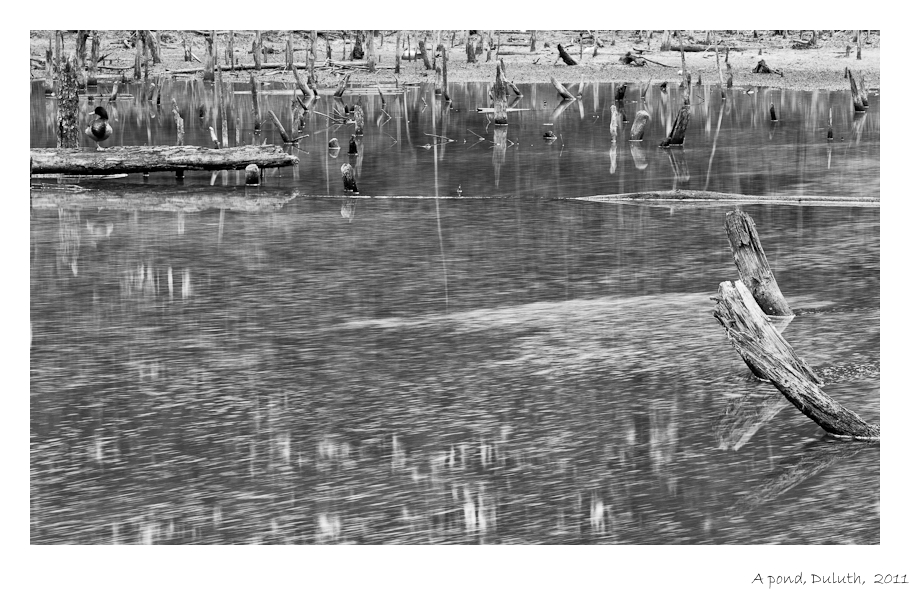 Pond5.jpg