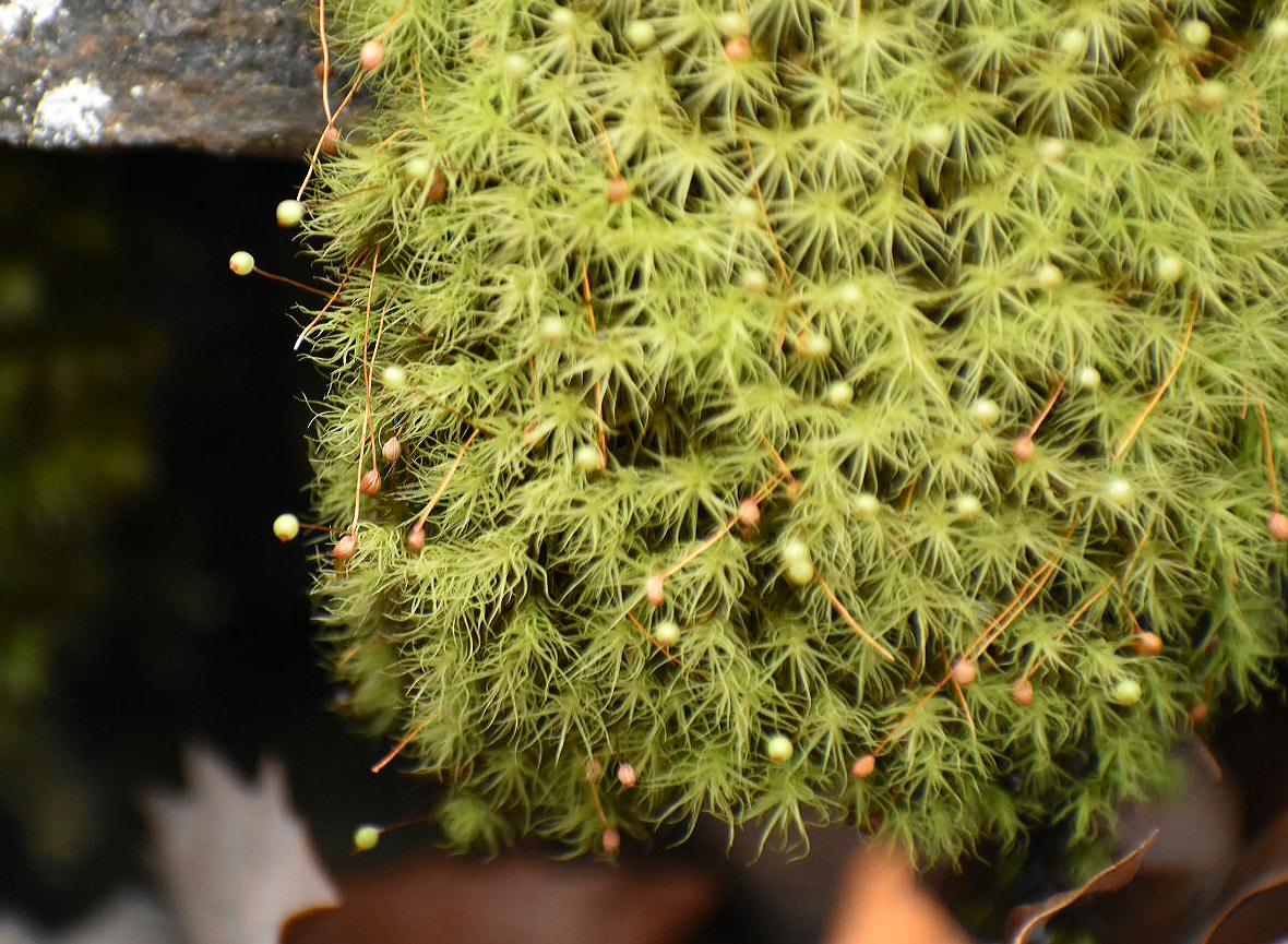 2017-07-05 23.40.10.jpg