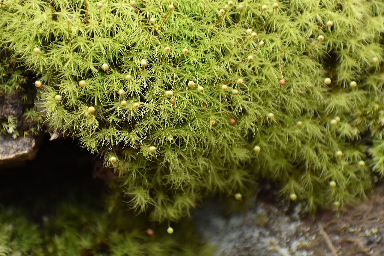 2017-07-05 23.41.39.jpg